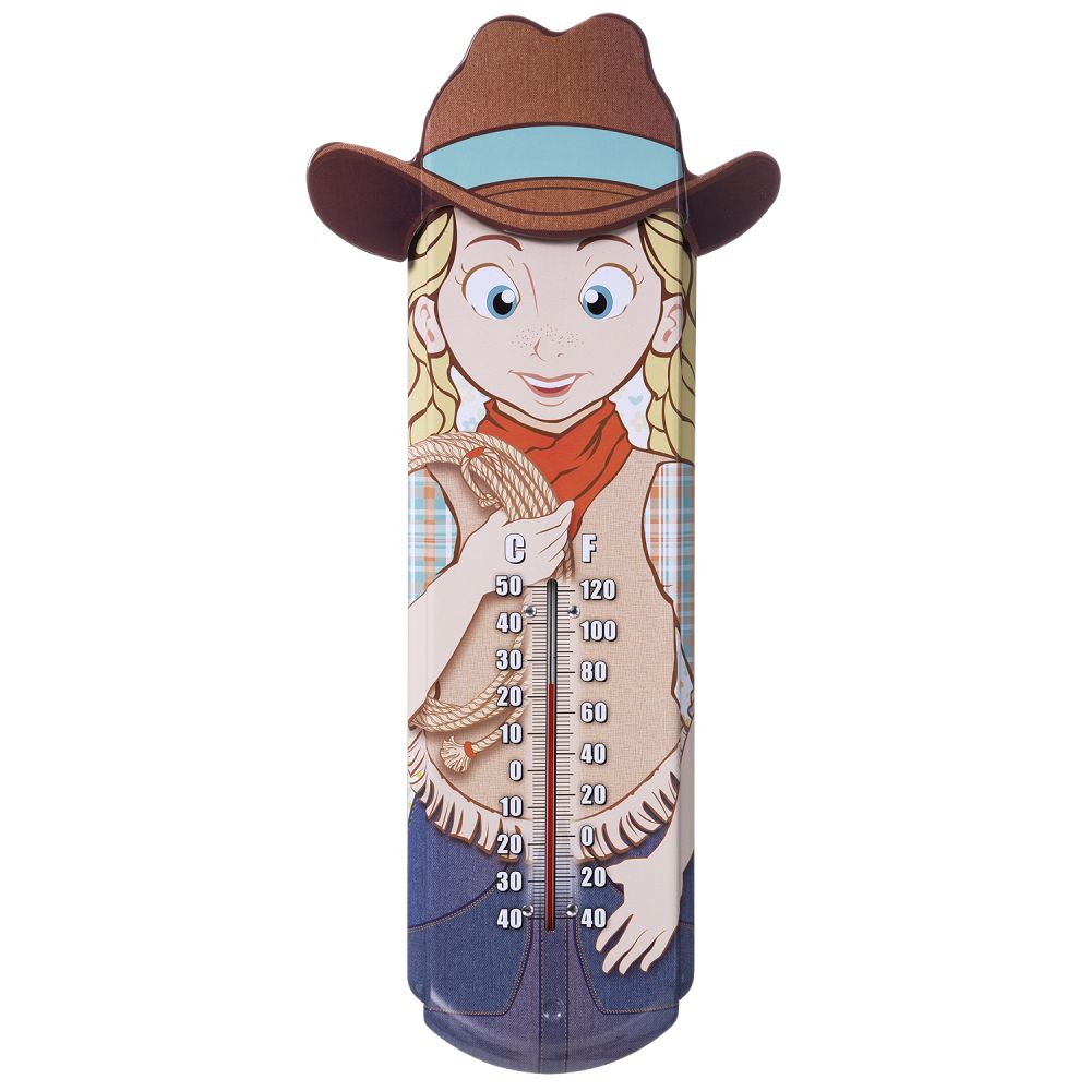 Decorative Tin Thermometer