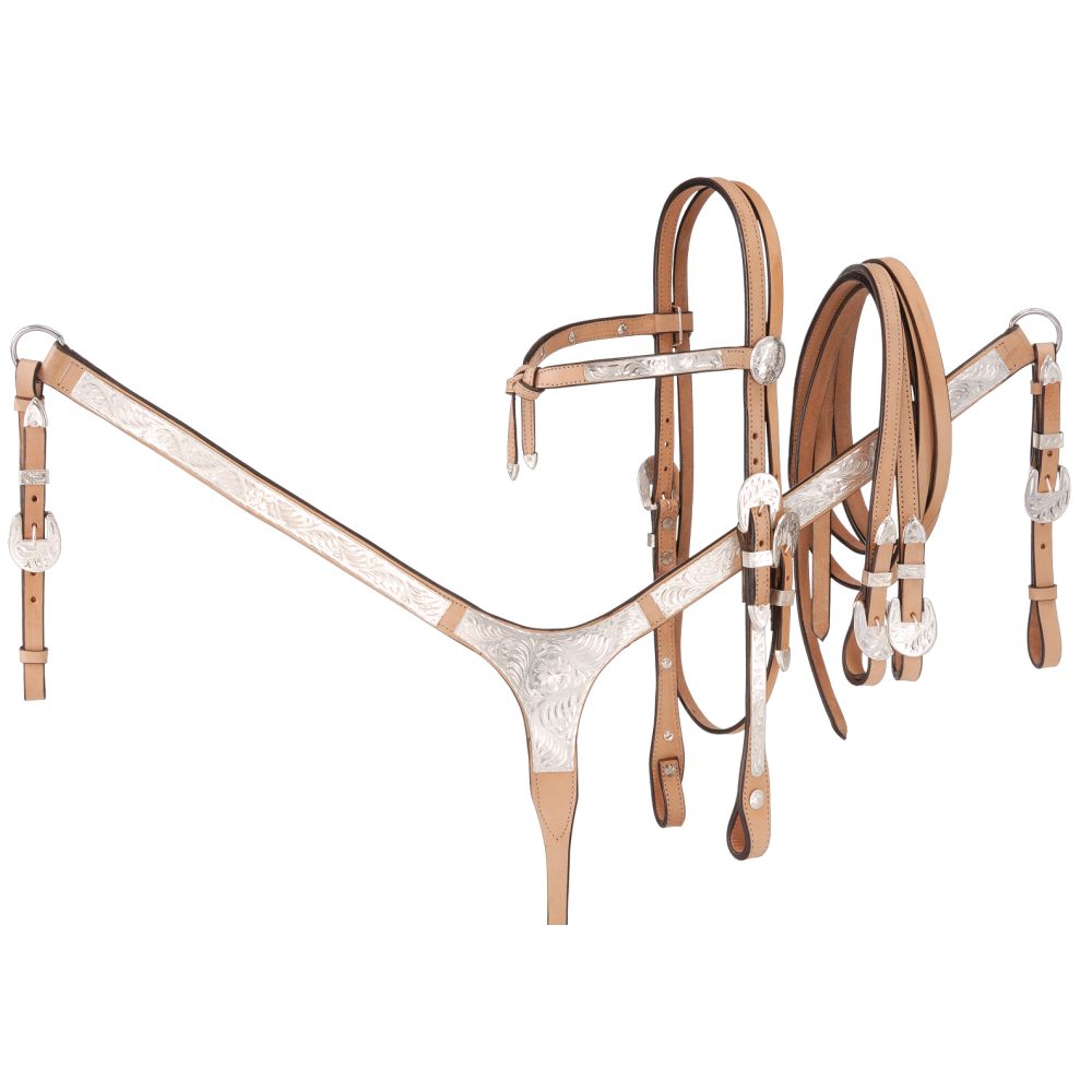 Royal King Futurity Brow Silver Tack Set