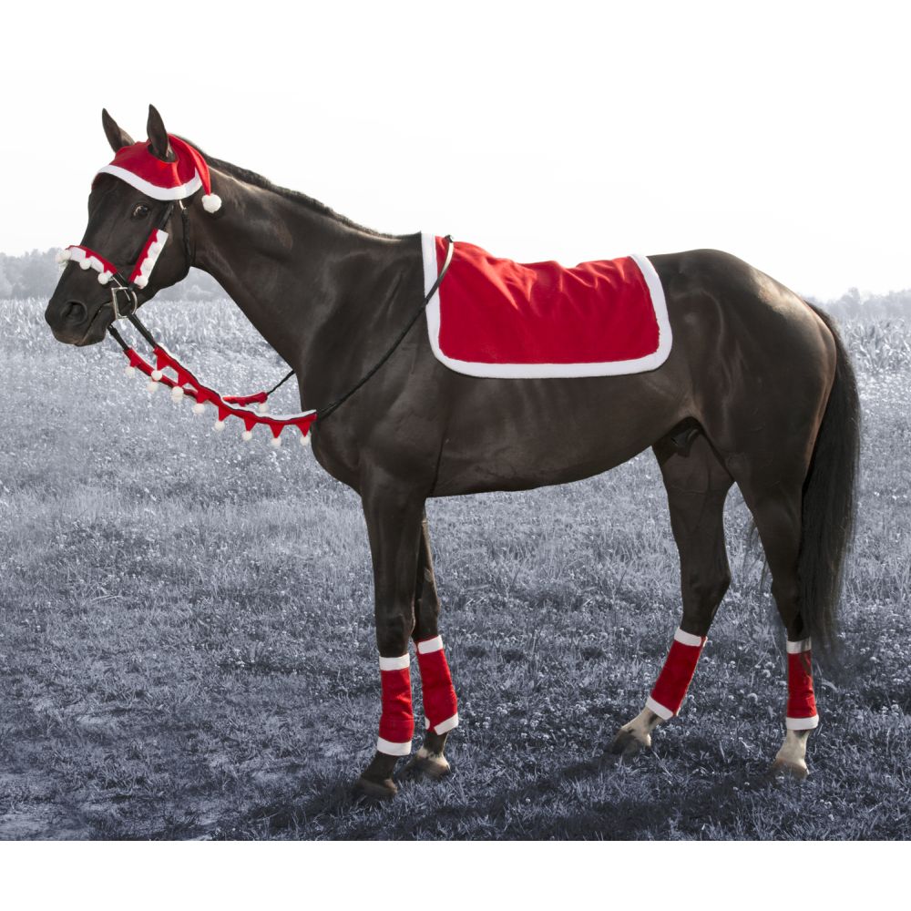 Tough1 5 Piece English Santa Set