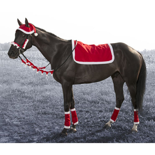 Tough1 5 Piece English Santa Set