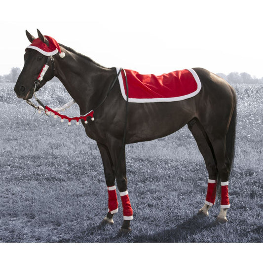 Tough1 5 Piece Western Santa Set