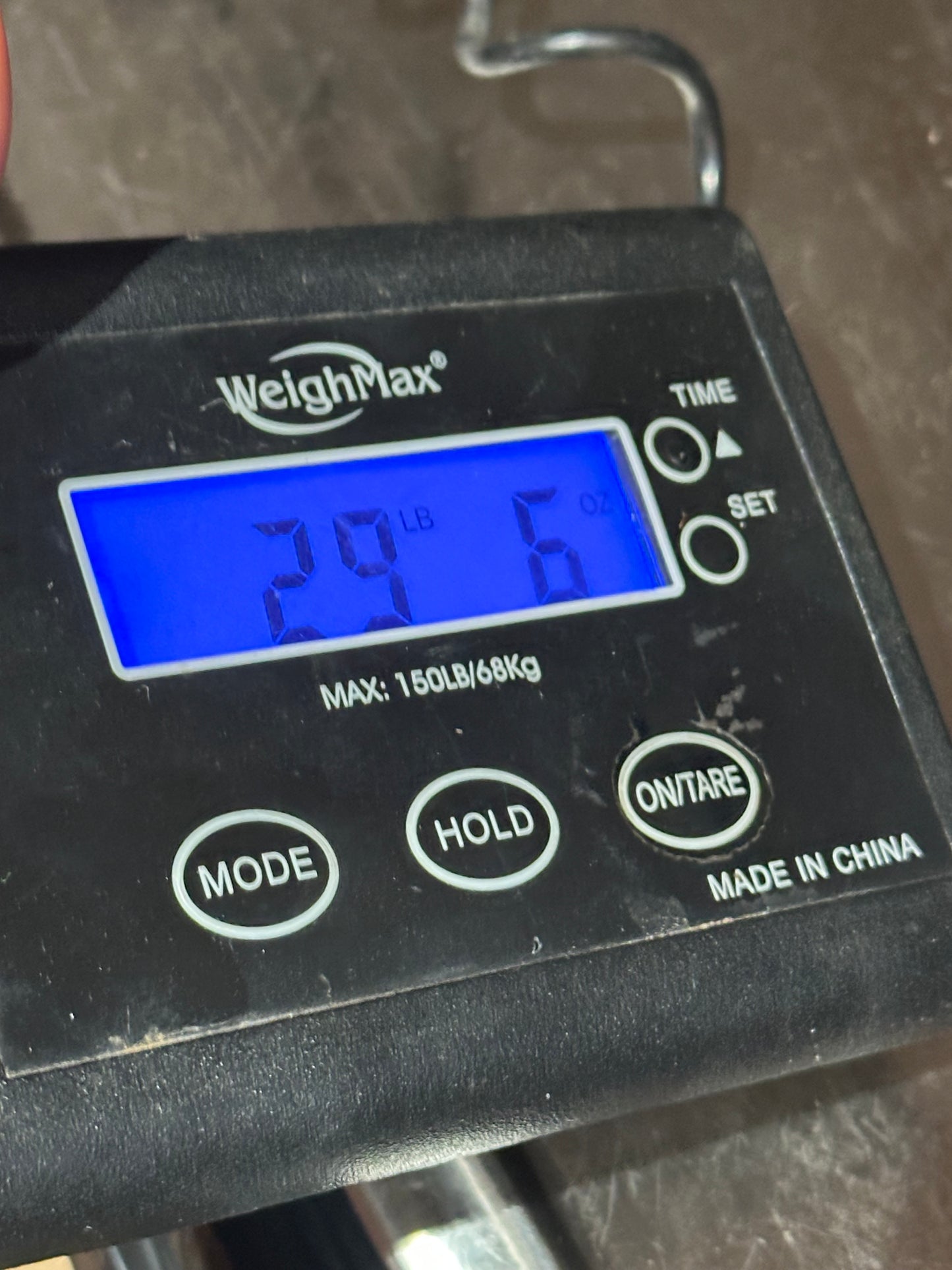 16” Circle Y High Horse Western Show Saddle Model 6310