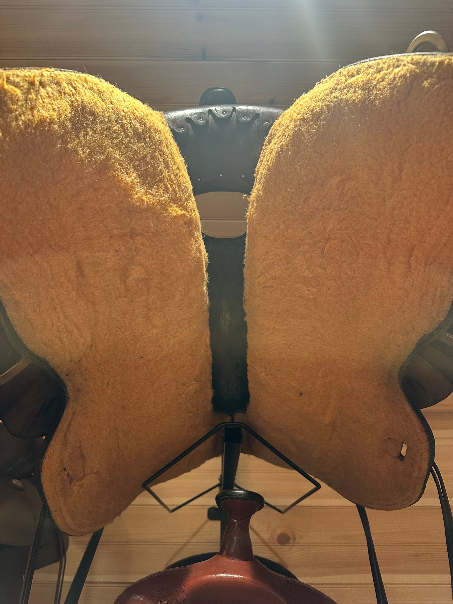 16” Circle Y Cold Springs Western Trail Saddle Model 2616