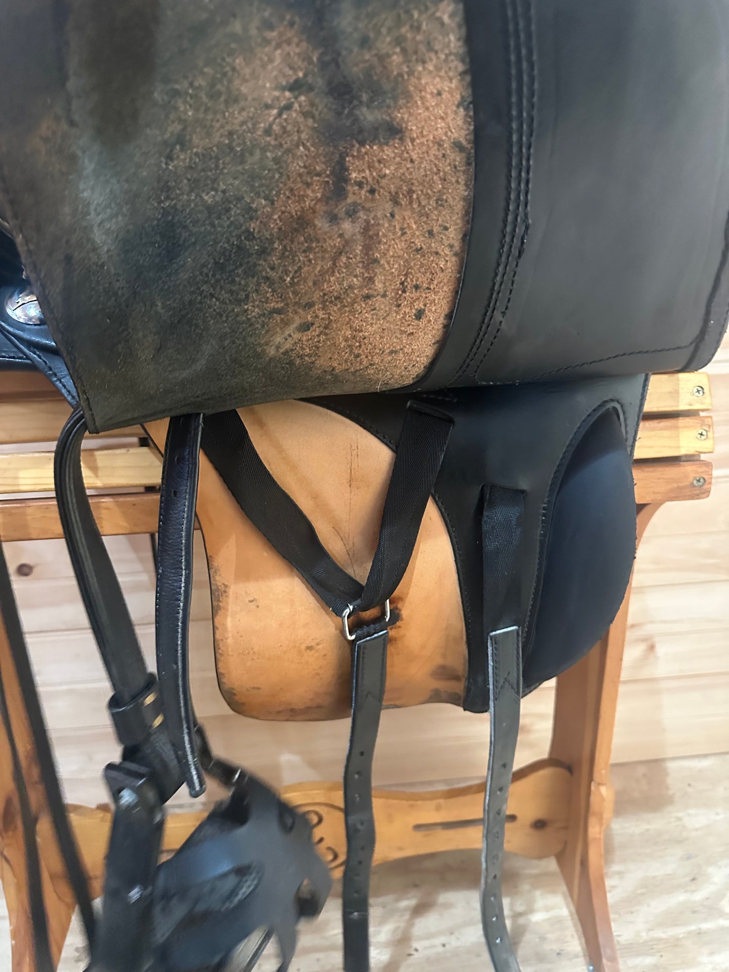 16.5” Parelli Hybrid Cruiser Endurance Saddle