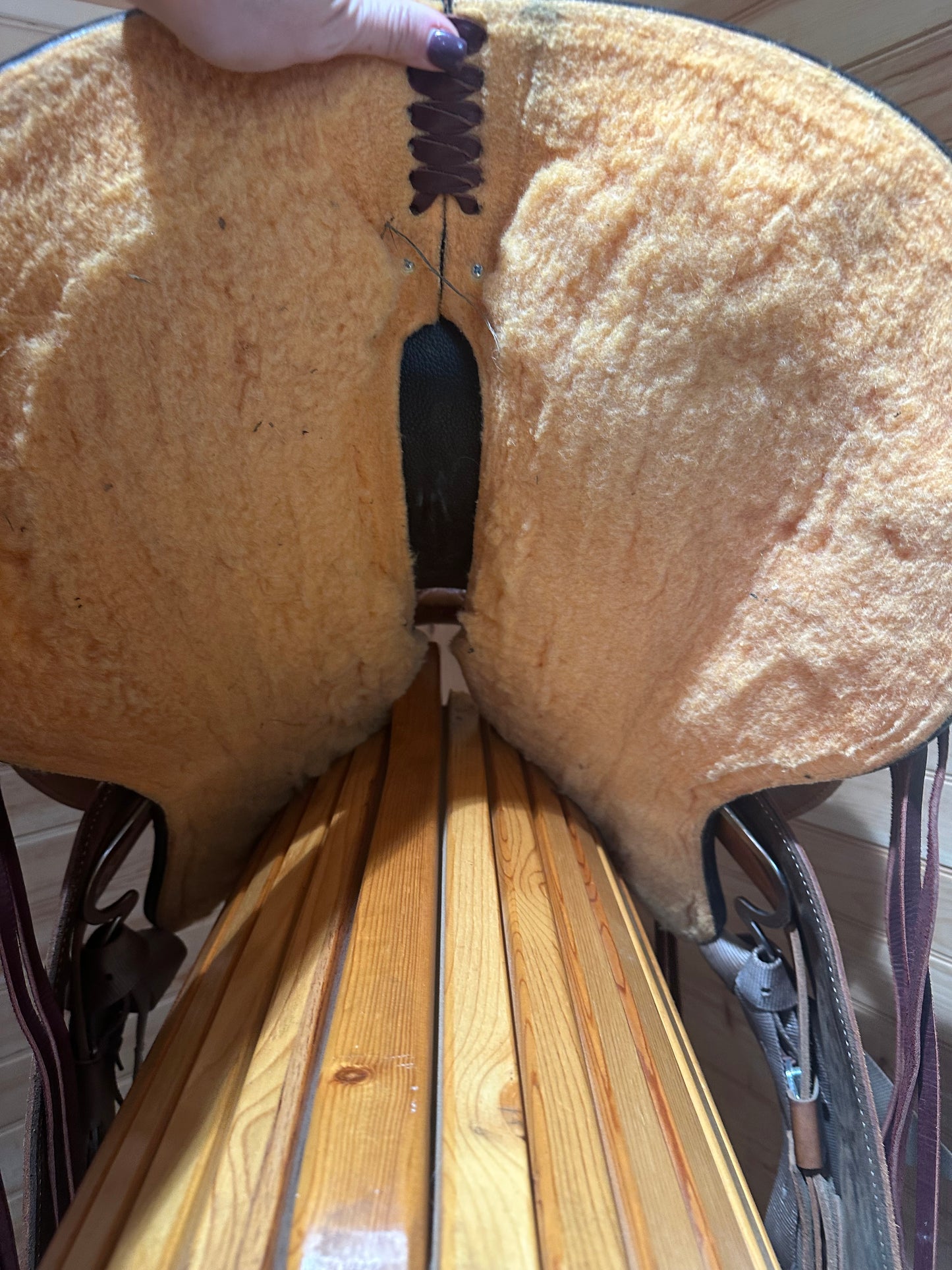 15” Circle Y High Horse Oyster Creek Trail Western Saddle Model 6808 (2024)