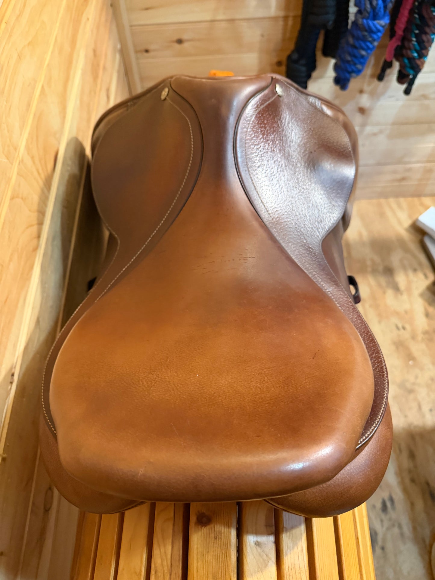 17” Collegiate Convertible Saddle- Easy Change Gullet