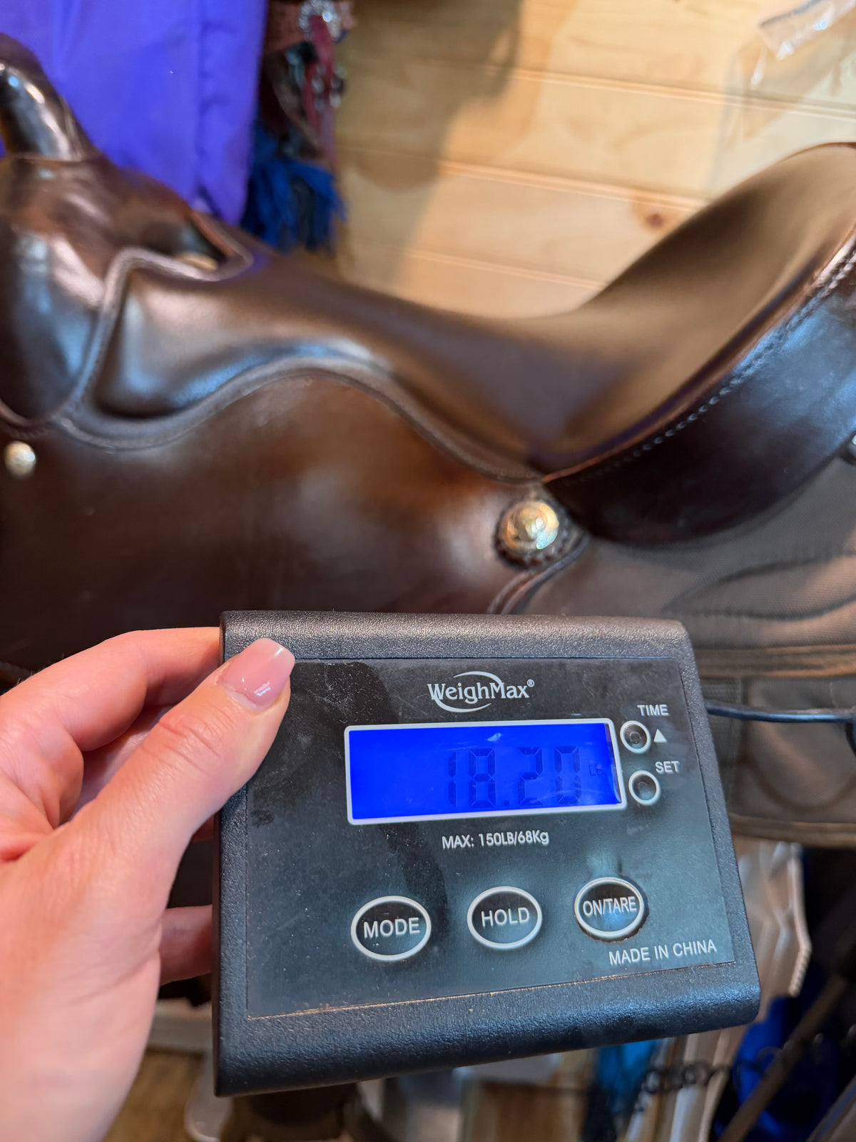 15.5” Big Horn Haflinger Western Trail Saddle Model 295