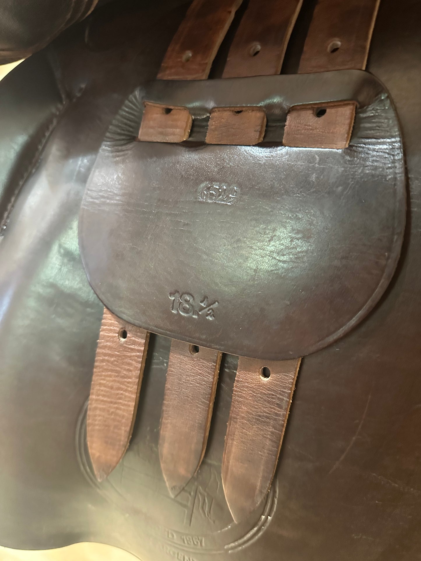 18.5” Collegiate Senior Event Saddle Model 6529