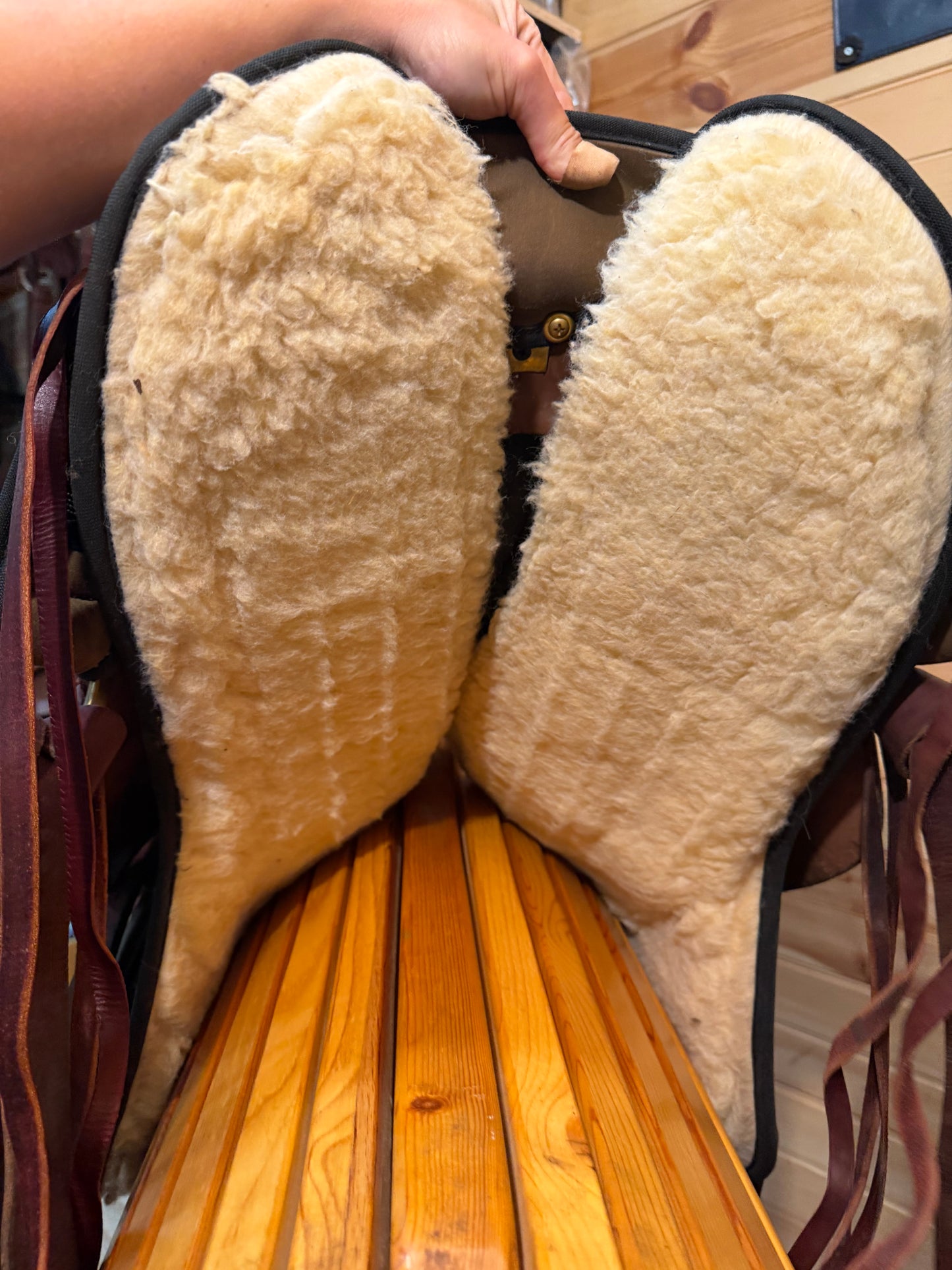 15” Imus 4-Beat Elite Gaited Endurance Trail Saddle & Matching Breast Collar