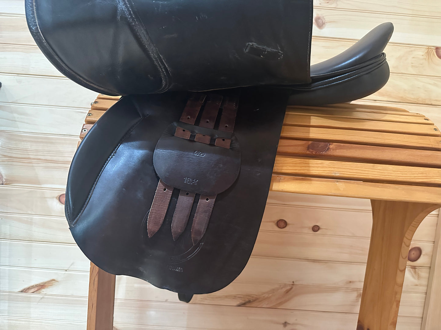 18.5” Collegiate Senior Event Saddle Model 6529