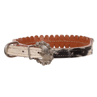 Silverdot CowHide Leather Dog Collar