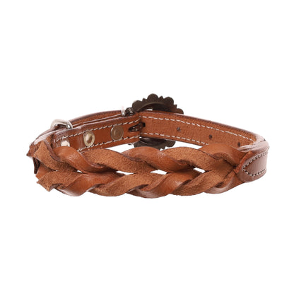 Braided Medium Oil Leather Dog Collar