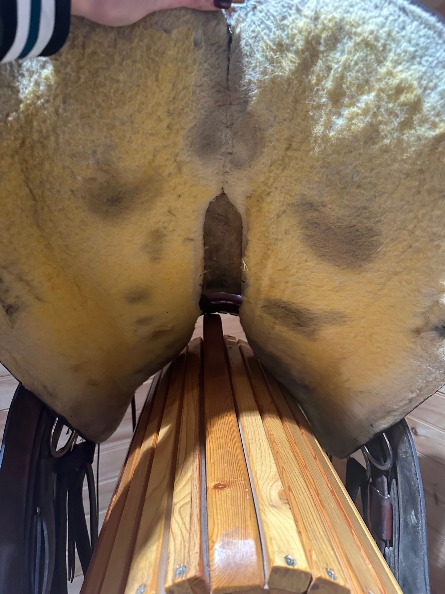 17” Circle Y Draft Western Trail Saddle Model 2177