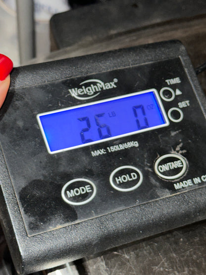 16.5” Allegany Mountain Saddlery Wade Trail Saddle