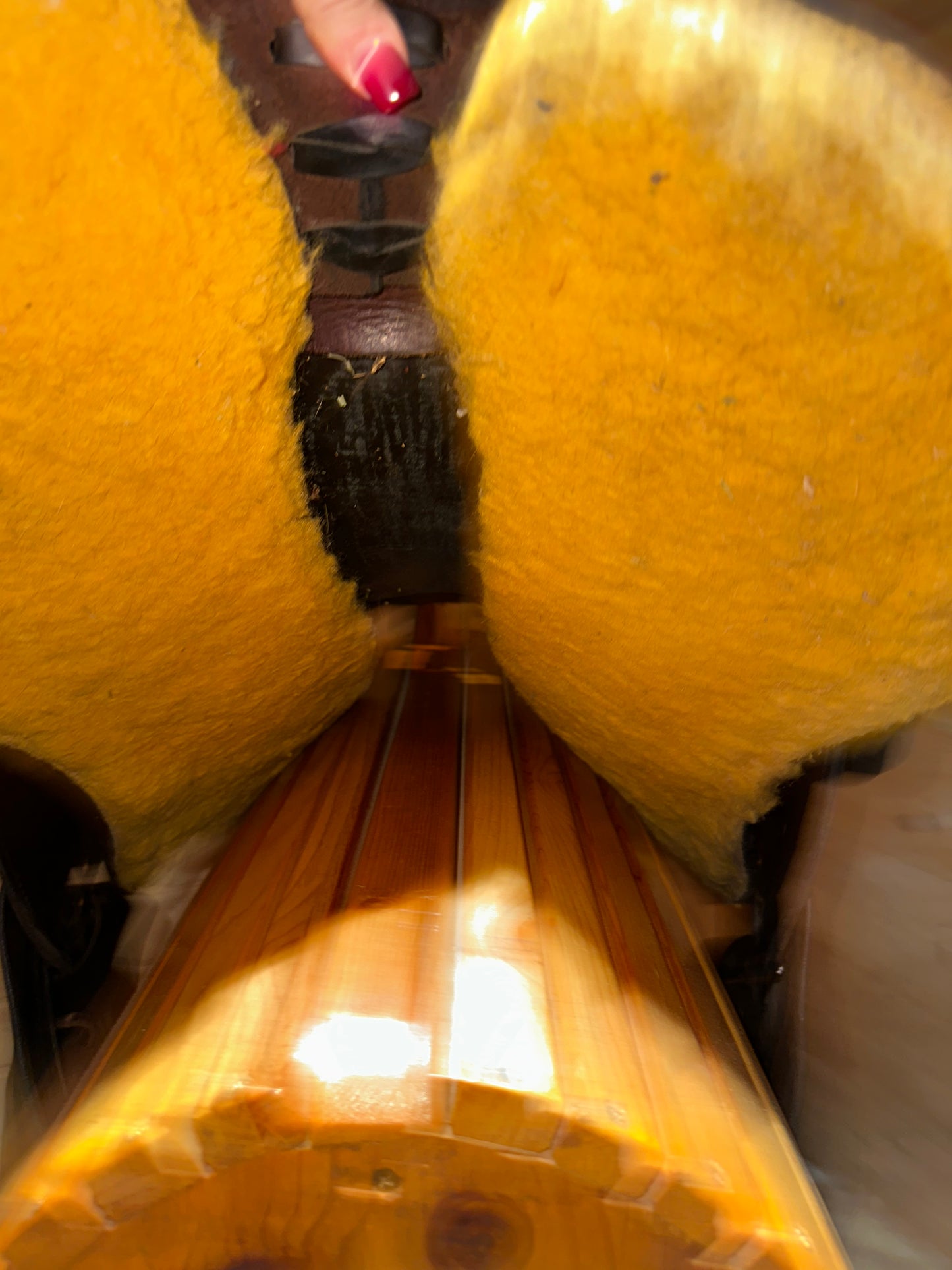 16.5” Allegany Mountain Saddlery Wade Trail Saddle