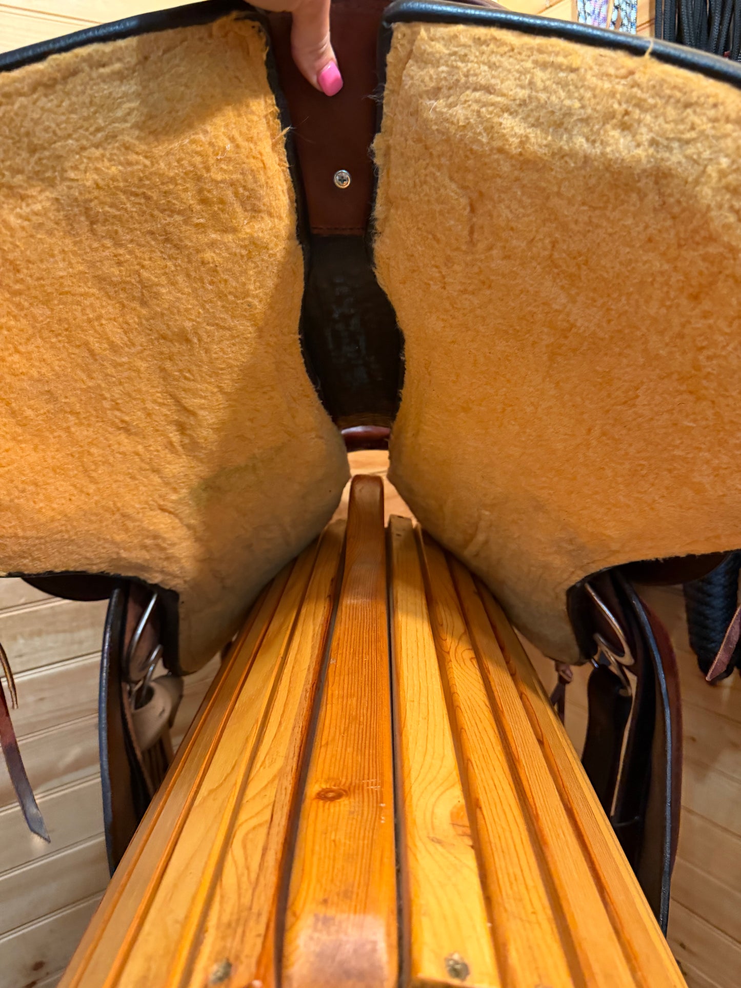 16” Circle Y Alpine Flex2 Western Trail Saddle Model 2377 (2018)