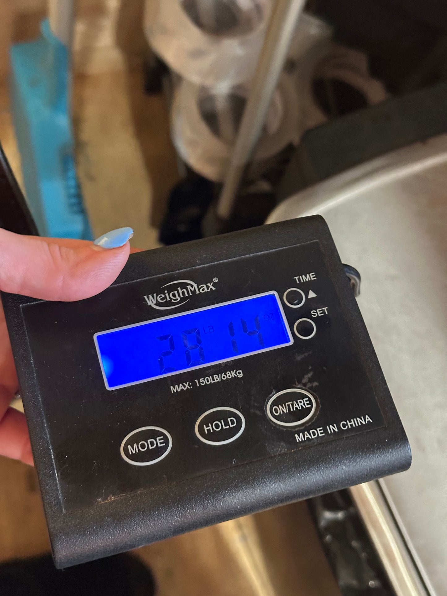 15” Circle Y Arabian Trail Saddle Model 2141