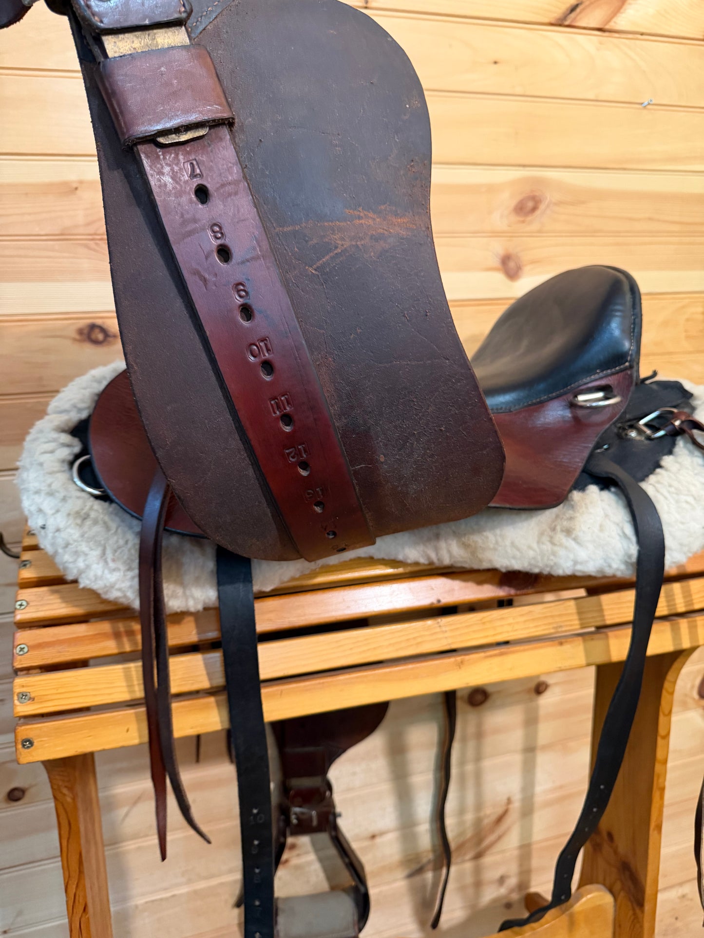 15” Skyhorse Skyrider Hybrid Endurance Saddle
