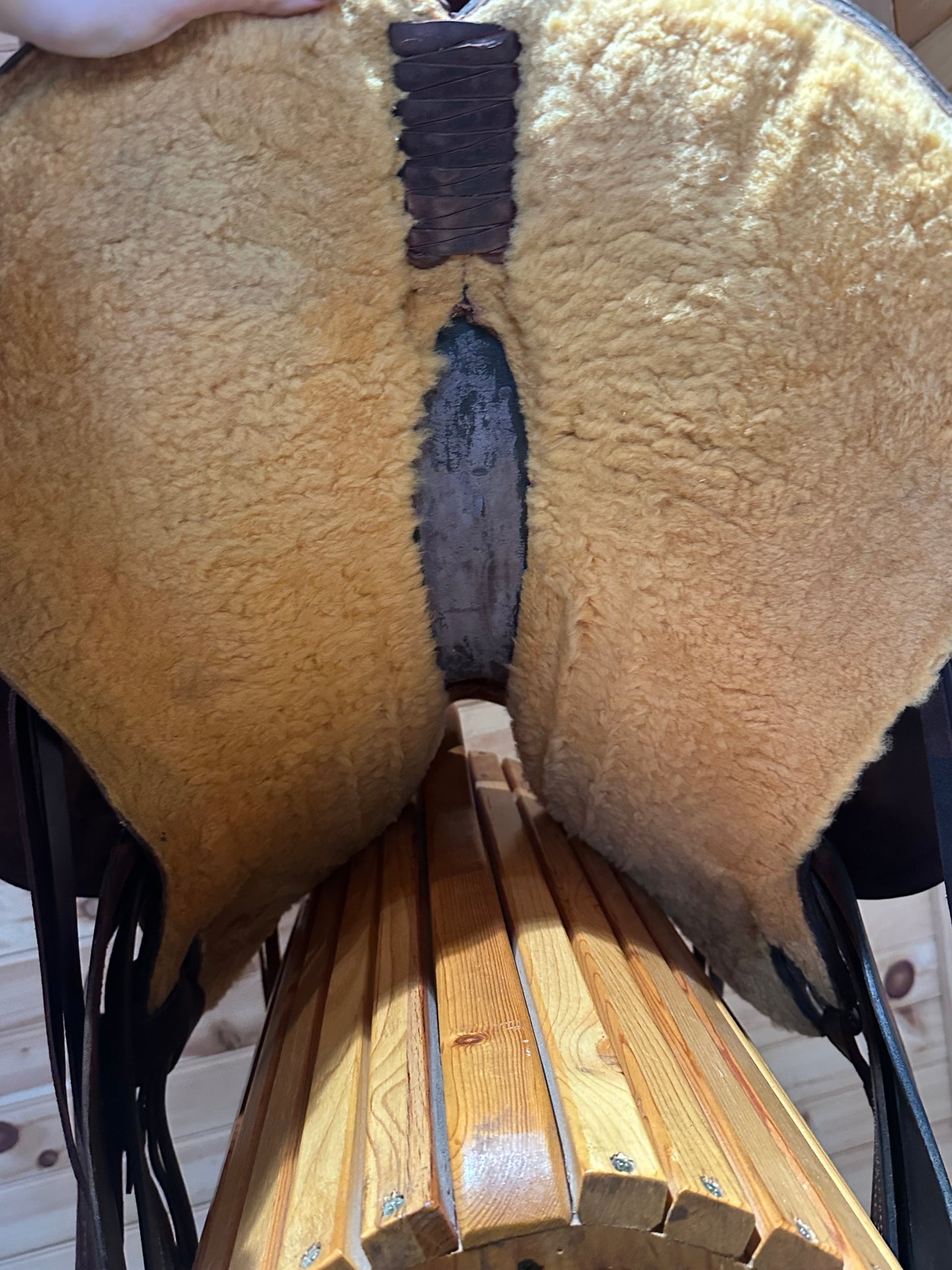 16” Clinton Anderson Aussie Saddle by Martin Saddlery